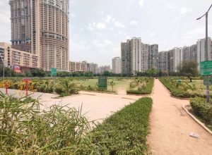 88388_IMG-20220501-WA0001---Neeraj-Kumar_600_900